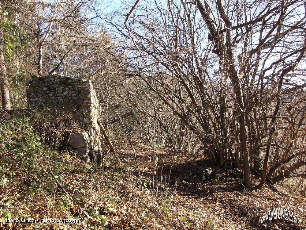 13 nel bosco.jpg
